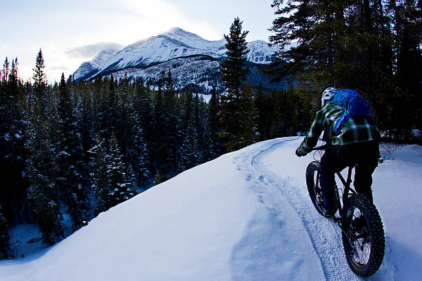 istock Fat Bike Adventure 514054628