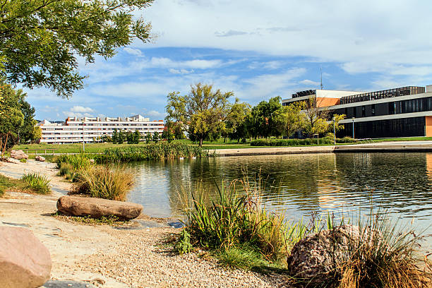 istock ducks in the pond in sariguren Navarra Pamplona 514055330