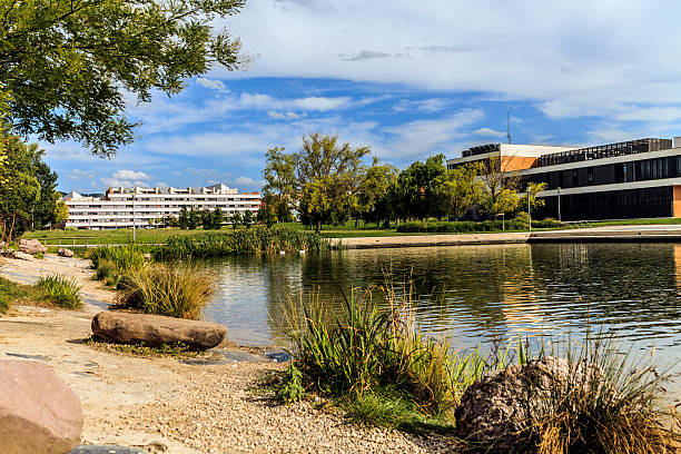 istock ducks in the pond in sariguren Navarra Pamplona 514055402