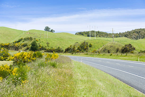 istock Taupo countryside 514056874