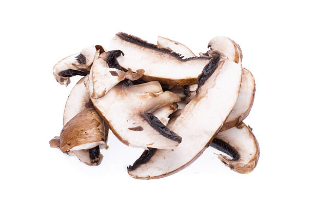 istock portobello mushrooms isolated on white background 514057538