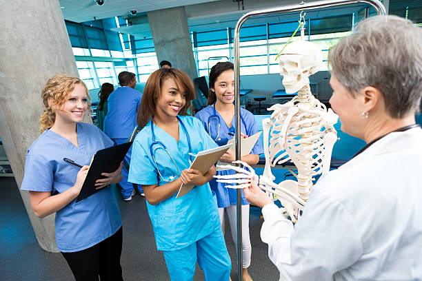 istock Senior medical professor teaches students about skeletal system 514061790