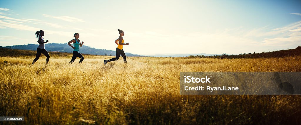 Group of Women Running in Nature Area A group of young adult friends runs in a pristine and vast outdoor area, the sun shining warm golden light on the scene.  They run across a large field, the grass a golden yellow color.  Shot in a minimalist style.  Depicting trail running, healthy lifestyle and exercise in the great outdoors.  Horizontal image with copy space; letterbox style. Healthy Lifestyle Stock Photo