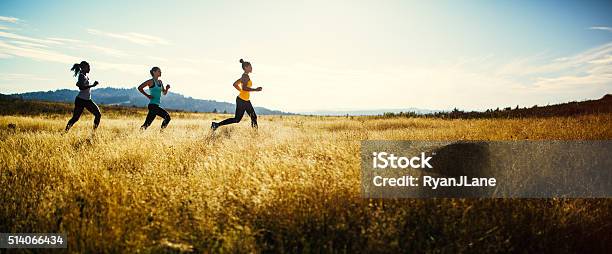 Group Of Women Running In Nature Area Stock Photo - Download Image Now - Healthy Lifestyle, Exercising, Running