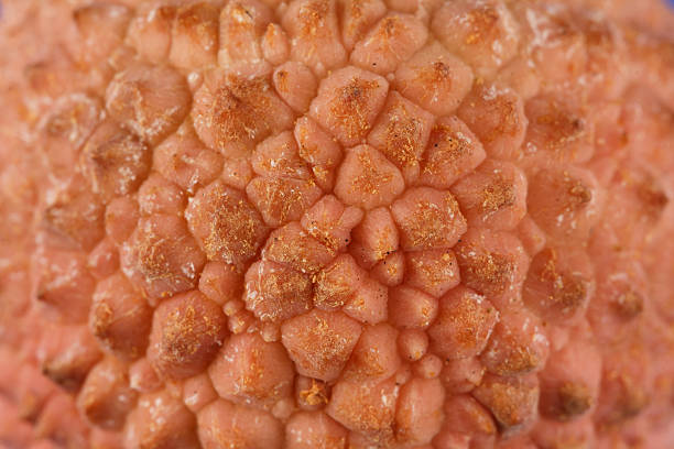 istock Close-up of a lychee fruit showing its texture 514067950