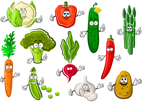Cartoon organic healthful broccoli, sweet orange carrot, bright chilli and bell peppers, succulent cucumber, potato, garlic, pod of green pea, cauliflower, asparagus and radish vegetables