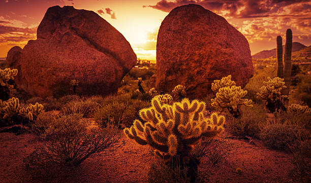 Dramatic desert scenery near Scottsdale,Arizona Dramatic desert scenery near Scottsdale red rock sunset sonoran desert stock pictures, royalty-free photos & images