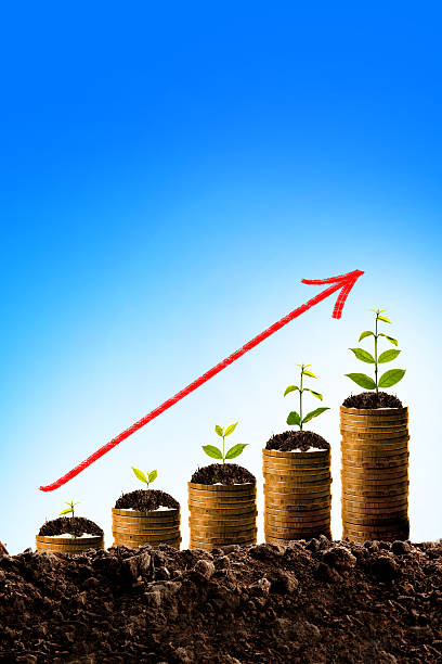 istock Money growing in soil 514070292
