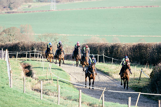 istock Racehorses, morning exercise 514075133