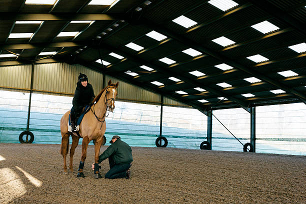 istock Racehorse, fetlock boots 514075141