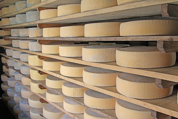 istock series of forms of aged cheese 514076789