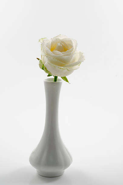istock Three white roses in a vase over white 514077505