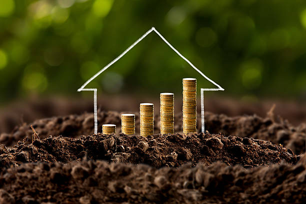 istock Money growing in soil with house 514097404