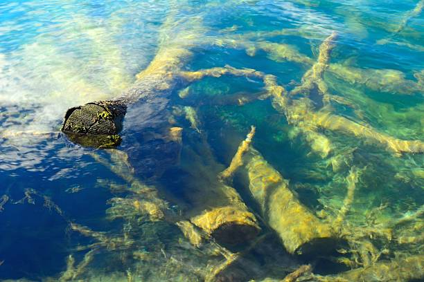 istock Plitvice National Park, Croatia 514098194