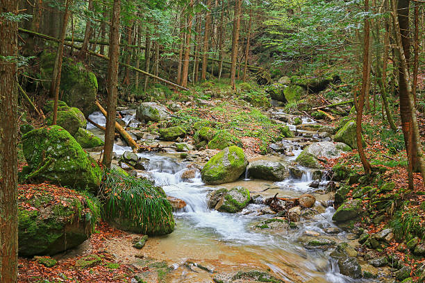 wasserfall und steine mit moos im nakasendo in wanderweg - spring waterfall japan landscape stock-fotos und bilder