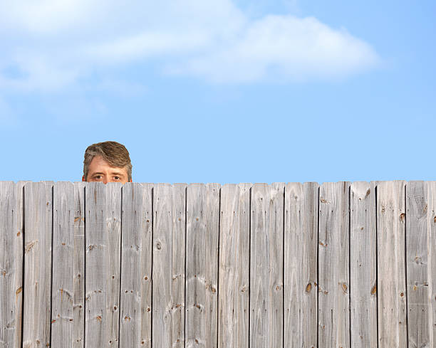 che pigola tom lo stalking di recinzione in legno di stalker - privacy partition foto e immagini stock