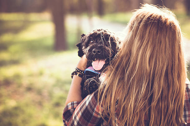 istock Cute black dog with his owner 514099876