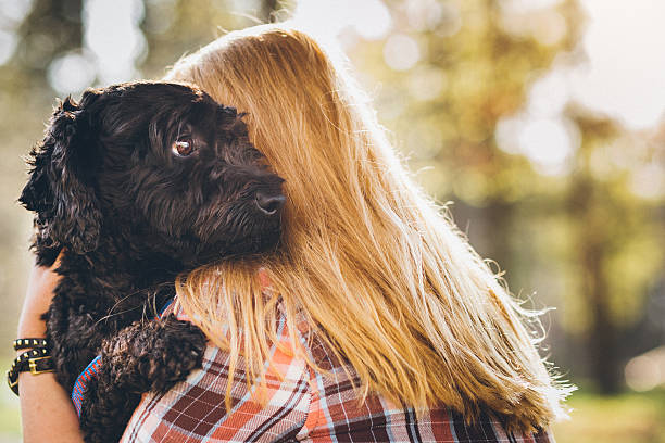 istock I'm taking my dog with me everywhere! 514099922