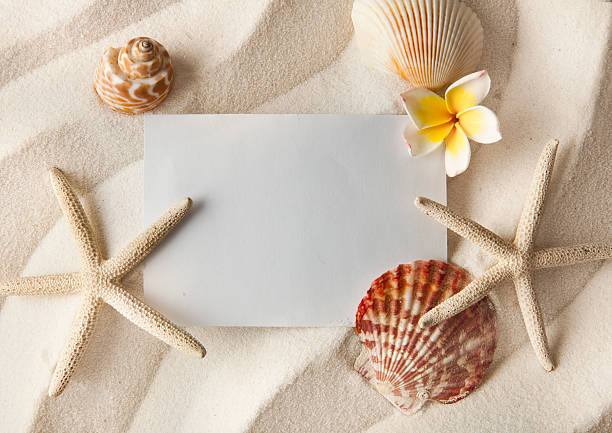 istock Blank paper and starfish and and shells on sand 514100582