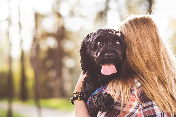 istock Very happy black fluffy dog 514100666