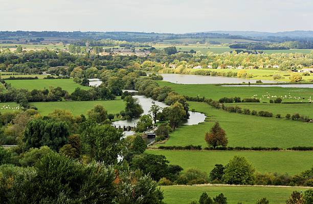 Beautiful English Countryside Beautiful English Countryside taken late afternoon on an autumn day. Image is taken from the top of Wittenham Clumps, looking across the fields of animals, the river with barges and locks, rooftops peeking through the tree tops all the way towards the distant hills dorchester on thames stock pictures, royalty-free photos & images