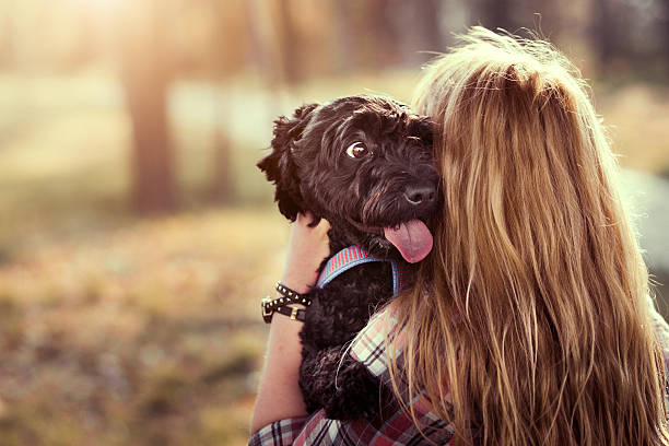 istock Cute black dog with his owner 514102314