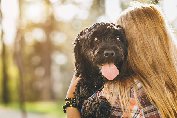 I'm taking my dog with me everywhere!