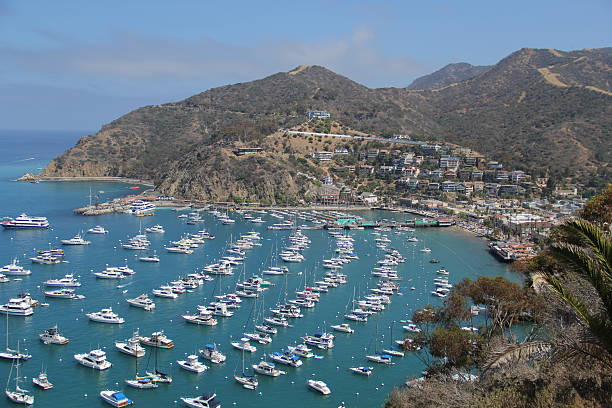 istock Catalina Island Marina 514103092