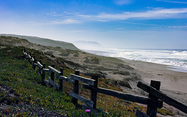 istock Sandy ocean beach with waves plants and a leading fence. 514104728