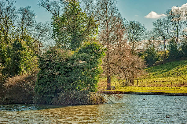 istock Pond in the park - landscape 514104814