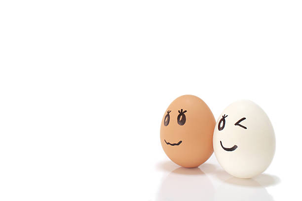 istock white and brown egg couple in the white 514107316