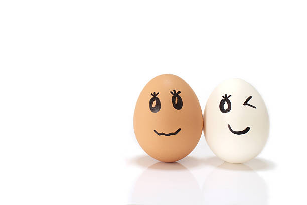 istock white and brown egg couple in the white 514107328