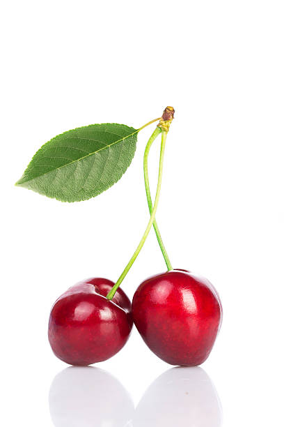 istock Cherry with leaves isolated on white background 514107622