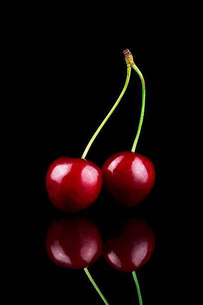 Succulent Cherries Stock Photo - Download Image Now - Cherry, Black  Background, Dessert - Sweet Food - iStock