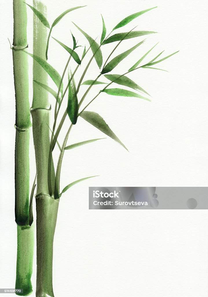 Bamboo watercolor painting Bamboo original watercolor painting. Asian style. Bamboo - Plant stock illustration