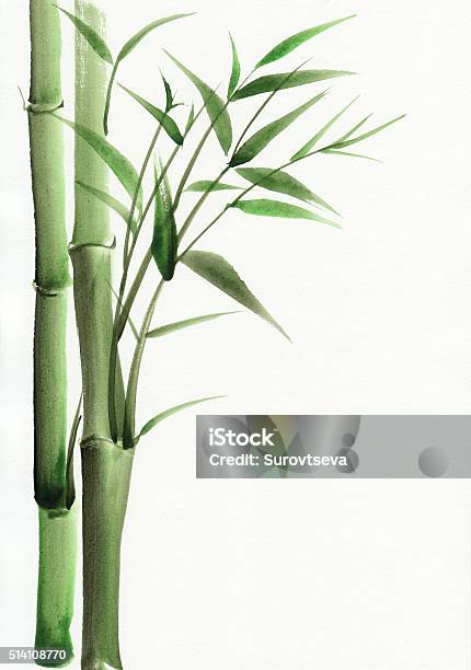 Bamboo Watercolor Painting Stock Illustration - Download Image Now - Bamboo - Plant, Tree, Art