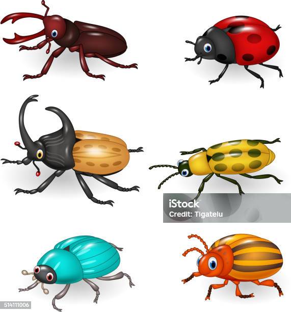 Cartoon Funny Beetle Collection Stock Illustration - Download Image Now -  Beetle, Animal, Animal Antenna - iStock