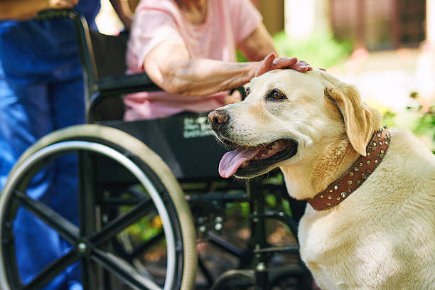 He's not only man's best friend