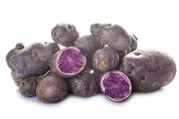 Vitelotte or blue-violet potatoes isolated on a white background