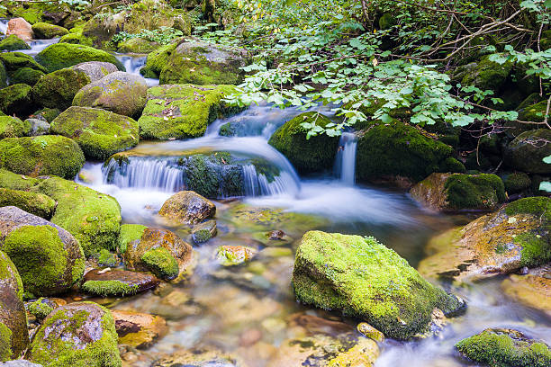 istock Creek in the Ligurian Alps 514117014