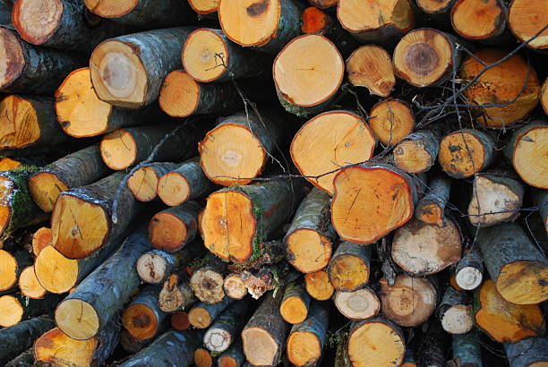 istock Pile of chopped fire wood. 514117372