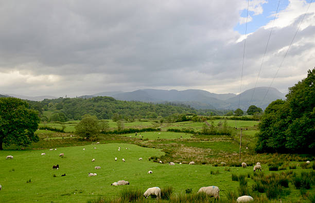 istock Mountains in the lake district 514117950