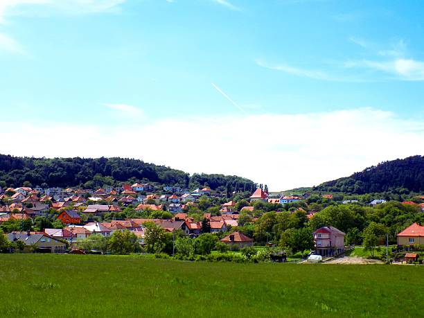 istock Village between forest and meadow 514118674
