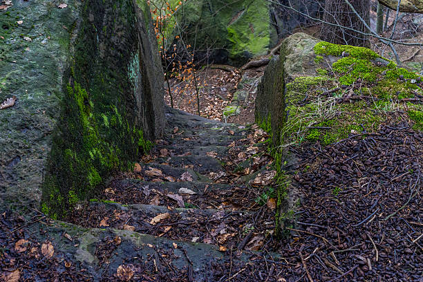 istock Stairs carved into a sandstone in a forest in the mountains 514120230