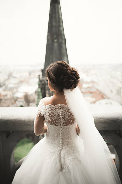 istock Beautiful bride on her wedding day with a view of 514120666