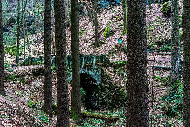 istock stone bringe in a forest in the mountains 514120700