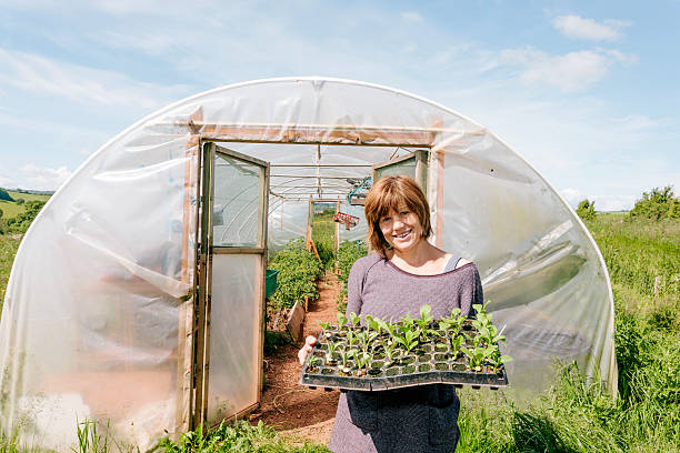 Market garden polytunnel
