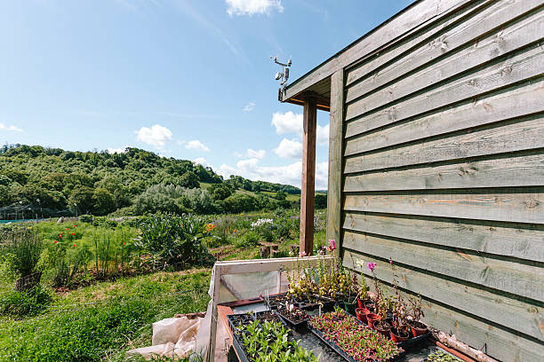 Market garden shed