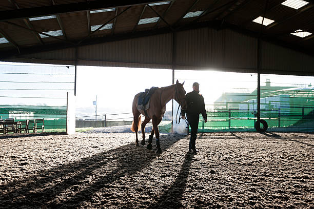 競走馬、冬 - silhouette sunrise non urban scene england ストックフォトと画像