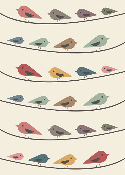 Birds on wires vector art illustration